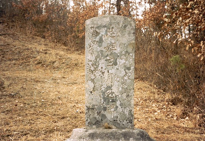 청주 삼월비
