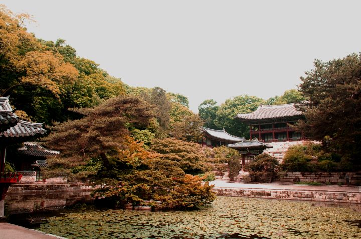 창덕궁
