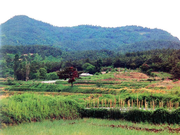 부여 석성산성