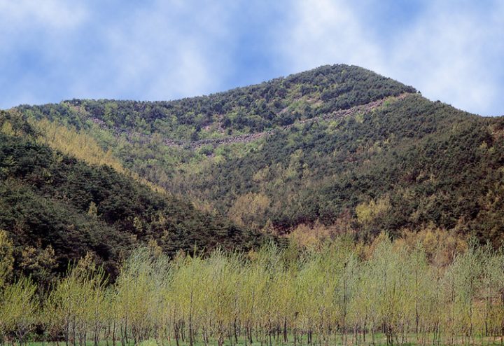 부여 증산성
