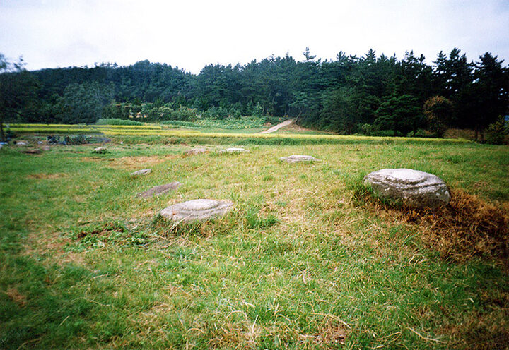 경주 사천왕사지
