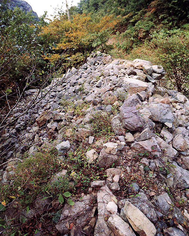 경주 부산성