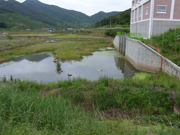 창녕 비봉리 패총