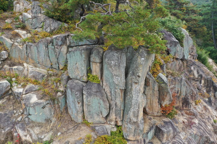 경주 금강산 표암봉 일원(2022)