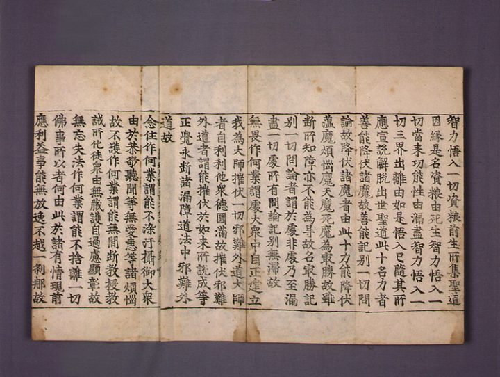 초조본 대승아비달마잡집론 권14