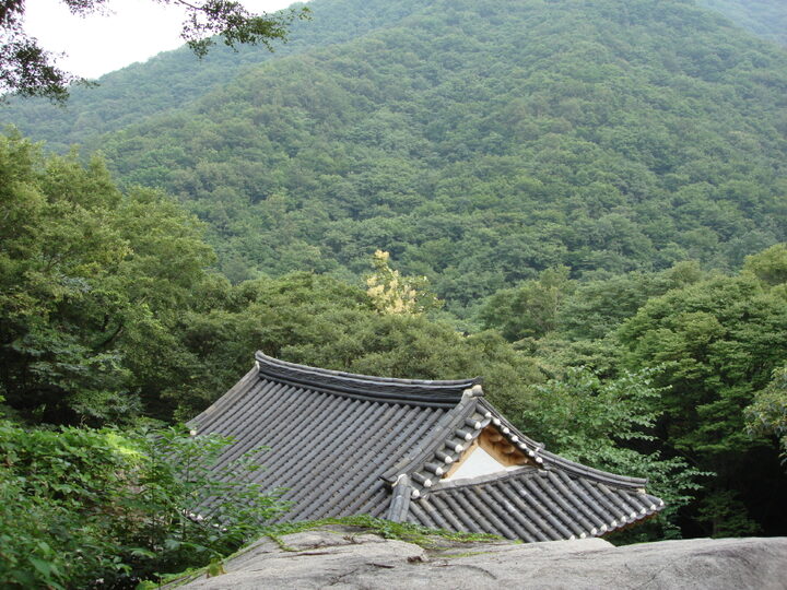 순천 초연정 원림