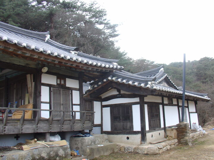 안동 백운정 및 개호송 숲 일원