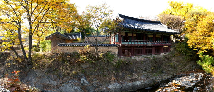 포항 용계정과 덕동숲