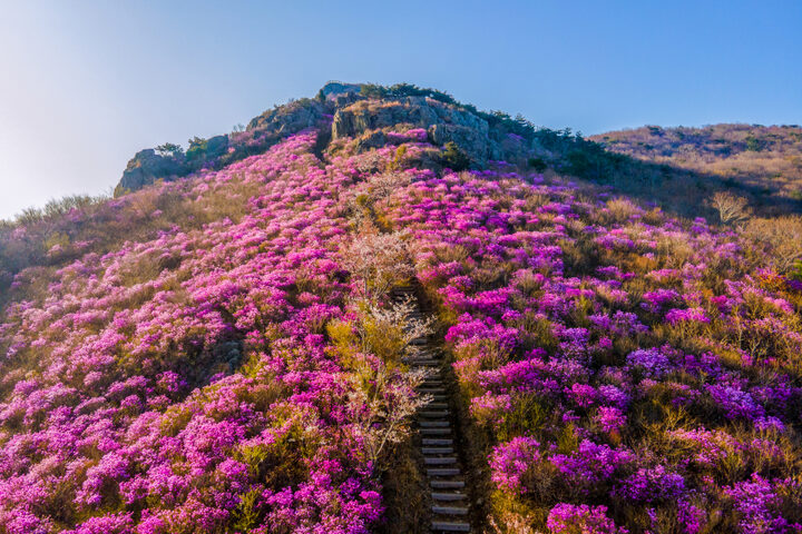 여수 영취산 흥국사 일원