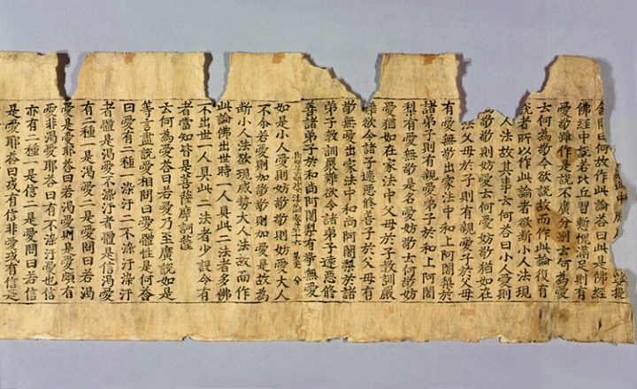 초조본 아비담비바사론 권16