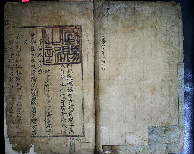 신찬벽온방(2006)