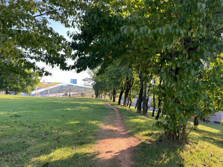 임당동고분군_임당토성위 산책로