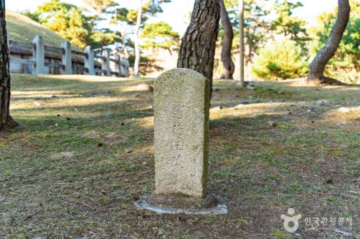 경주_경주 헌덕왕릉_ (3)