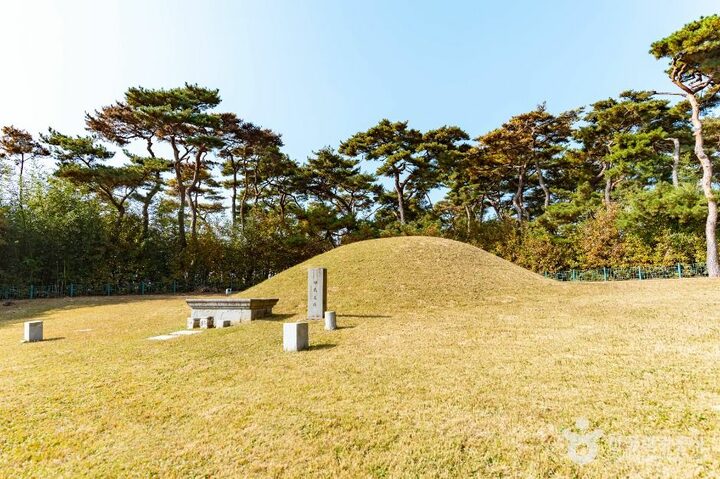 경주_경주 신무왕릉 (4)