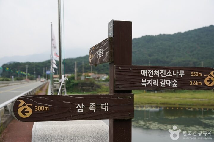 청도 삼족대 (5)