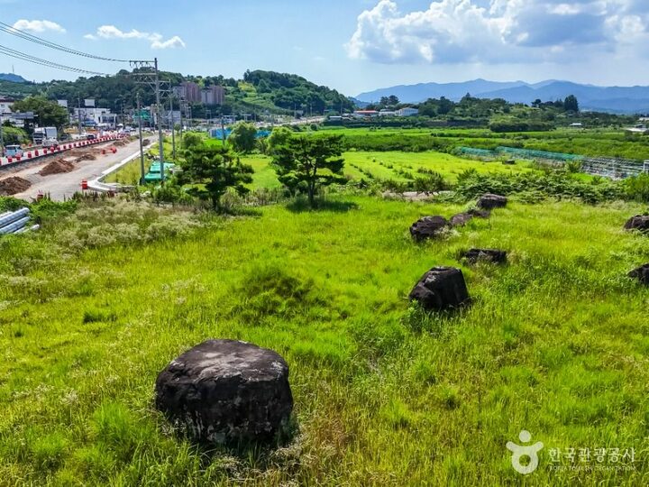 청도_청도 범곡리 지석묘군 (4)