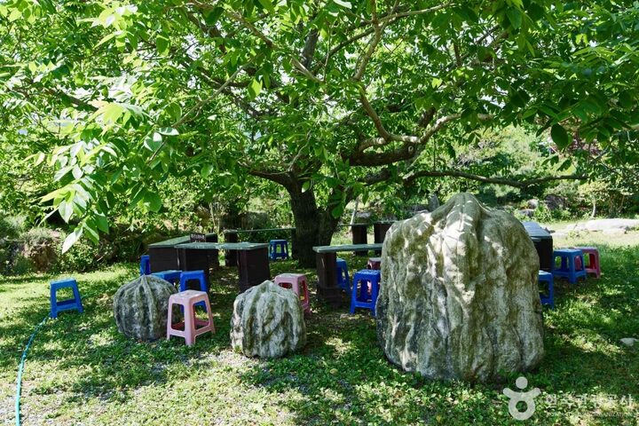귀족호도박물관 (3)