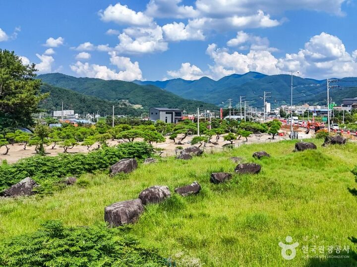 청도_청도 범곡리 지석묘군 (5)