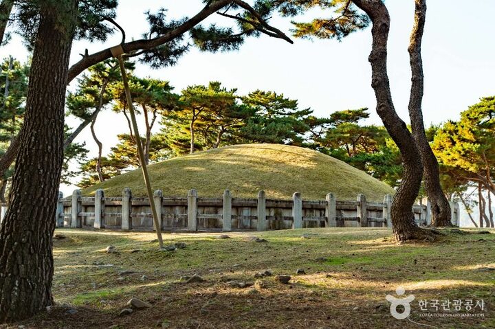 경주_경주 헌덕왕릉_ (2)