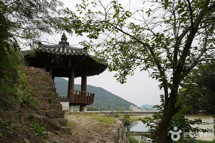청도 삼족대 (7)