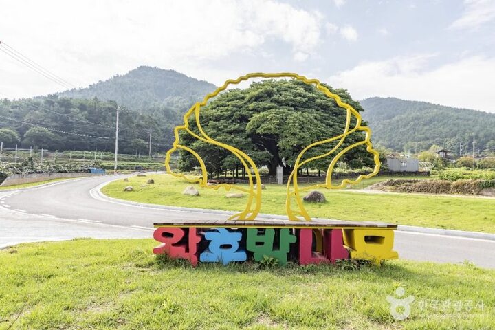 남해_남해 창선도 왕후박나무 (5)