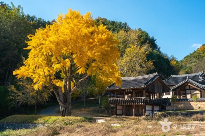안동_예안향교 (3)