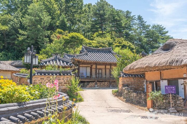 영주_영주무섬마을 (6)