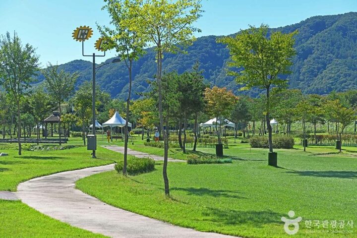 강원_화천_용암리선사유적 (6)