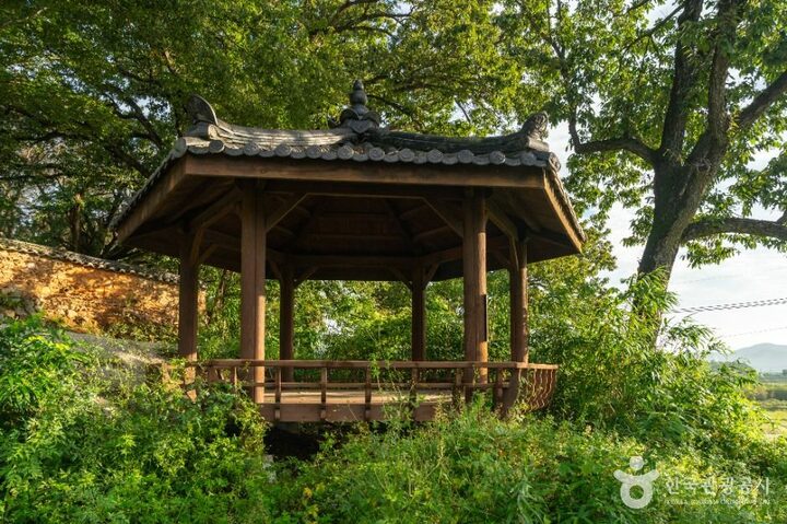 합천_호연정 (2)