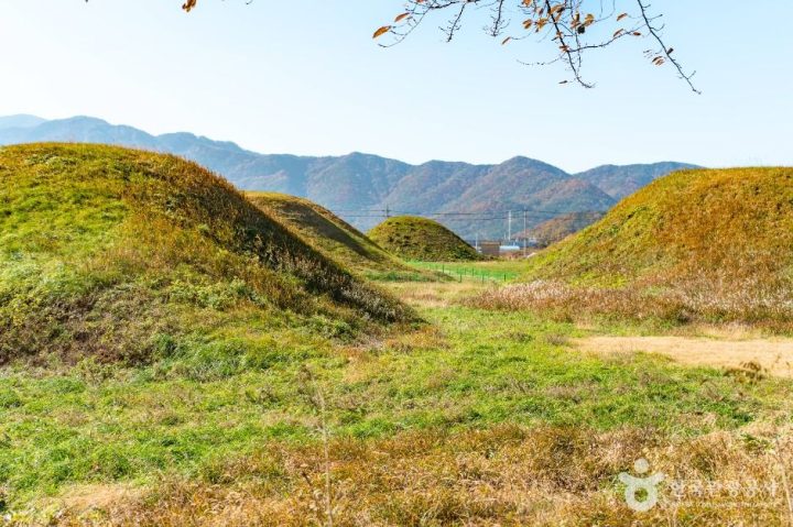 경주_경주 금척리 고분군 (2)