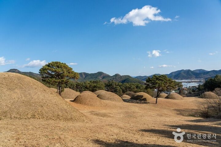 합천_합천 옥전 고분군 (4)