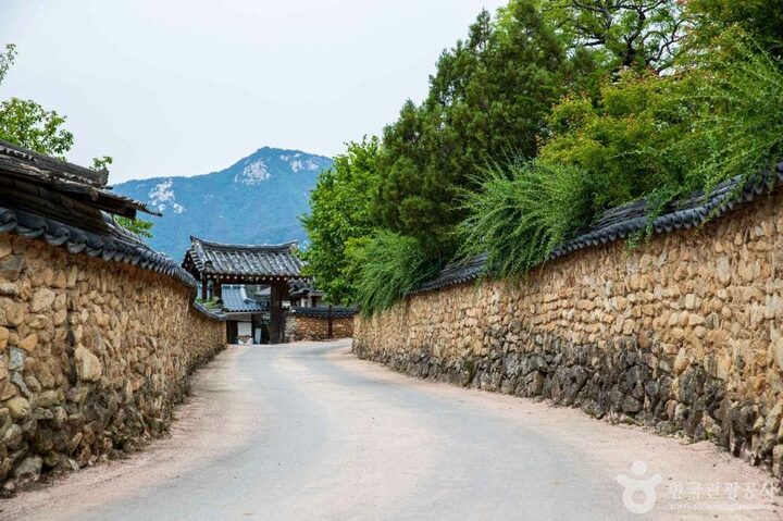 황산마을옛돌담길 (3)