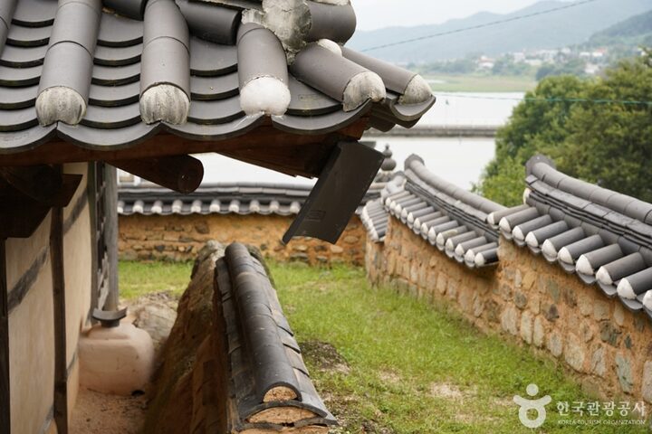 청도 삼족대 (11)