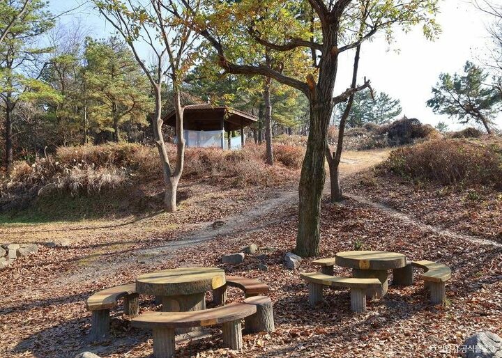 밀양_추화산성 (6)