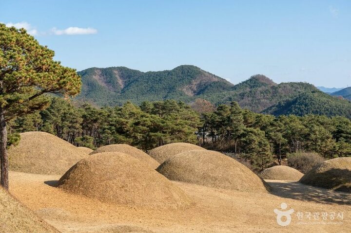 합천_합천 옥전 고분군 (5)