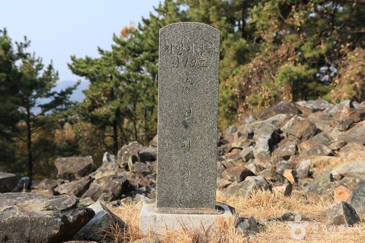경남_창원_웅천왜성 (6)
