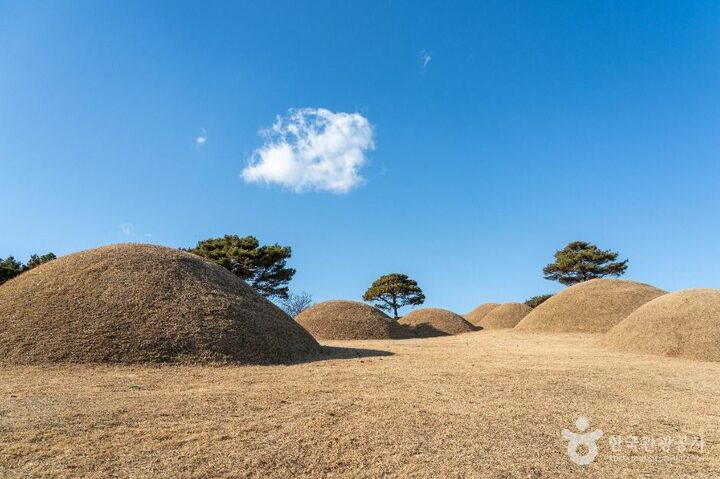 합천_합천 옥전 고분군 (6)