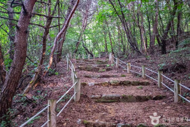 영주_영주 순흥 어숙묘 (1)