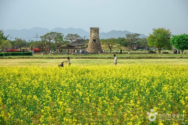 첨성대 (3)