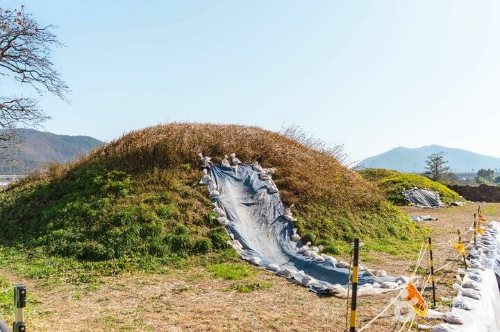 경주_경주 금척리 고분군 (5)