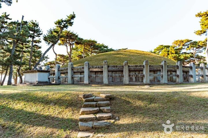 경주_경주 헌덕왕릉_ (4)
