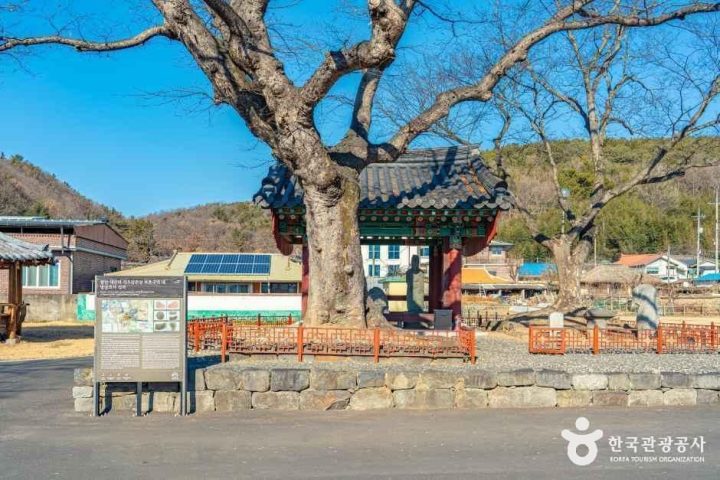 함안_함안 대산리 석조삼존상 (1).jpg