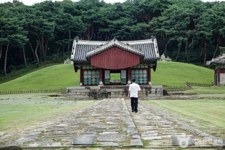 경기_파주_파주 장릉(인조,인열왕후) (5)