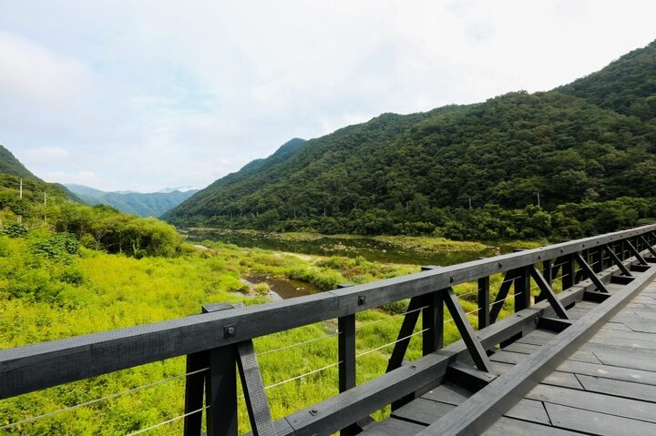 꺼먹다리_6
