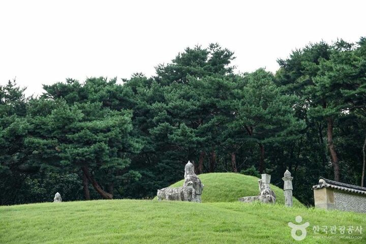 경기_파주_파주 장릉(인조,인열왕후) (6)