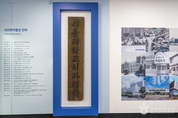 서울_서울대학교 치의학박물관 (6)