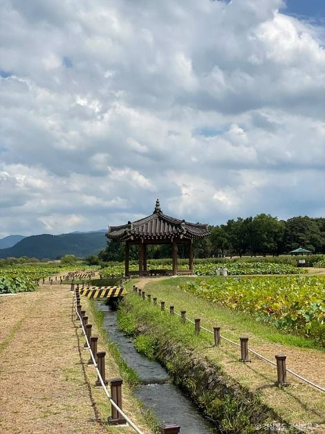 경주_경주 서출지 (1)