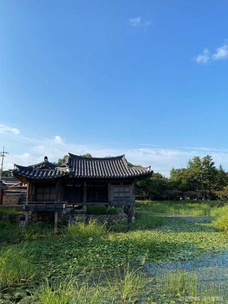 경주_경주 서출지 (2)
