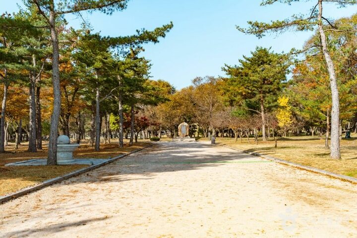 경주_경주 오릉 (2)
