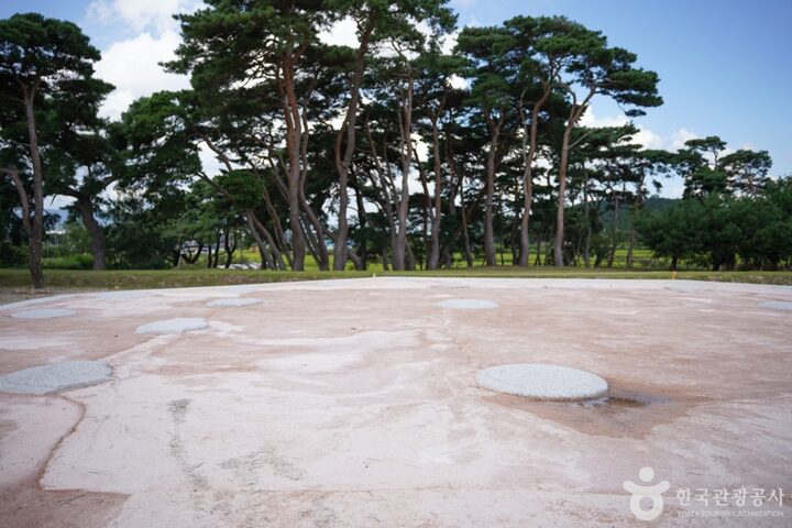 경북_경주_경주 나정 (5)